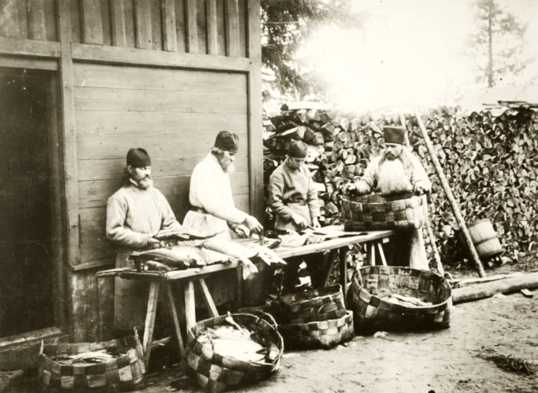 Монахи Валаамского Спасо-Преображенского монастыря разделывают рыбу (фото 1900-х)